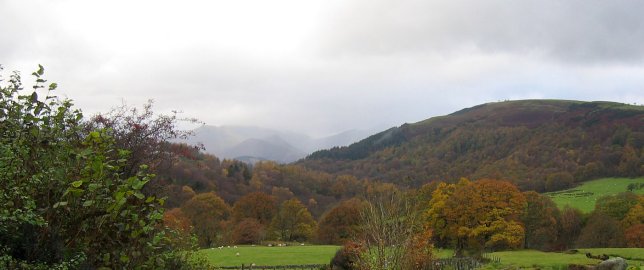 Panorama